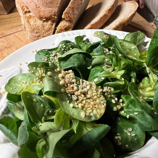 Salat mit RENASON® NATURE BIO Hanfsamen und Hanfsamenöl