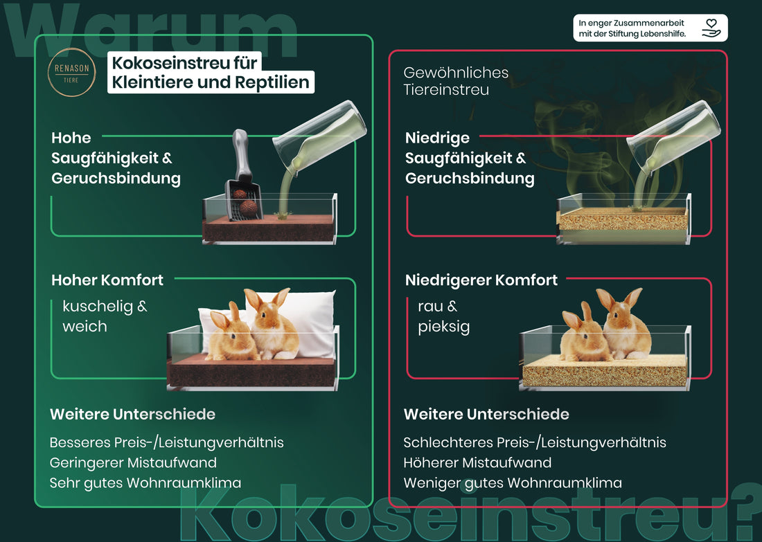 Welche Vorteile bietet Kokoseinstreu?