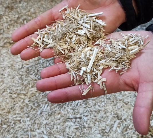 Warum Hanf Mulch von RENASON® GARTEN die beste Wahl für Ihren Garten ist