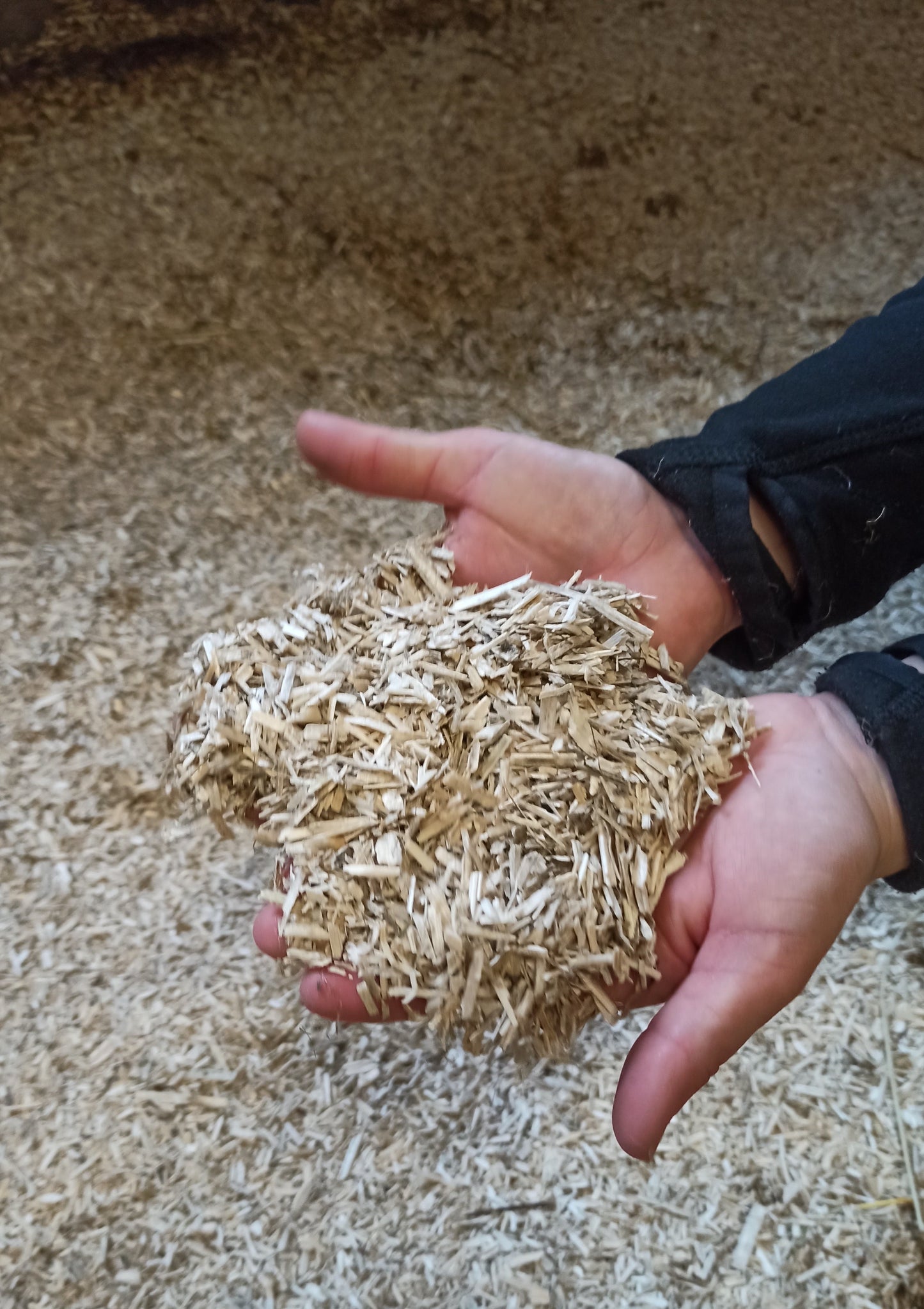 Hanf-Einstreu mit Bio-Eukalyptus-Geruch